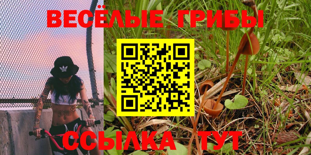 Галлюциногенные грибы Cubensis  Вход с VPN  Осинники 